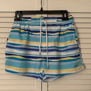 2xist Striped Swim Shorts